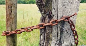 links/chain
